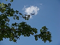 Western Michigan [2010] 387